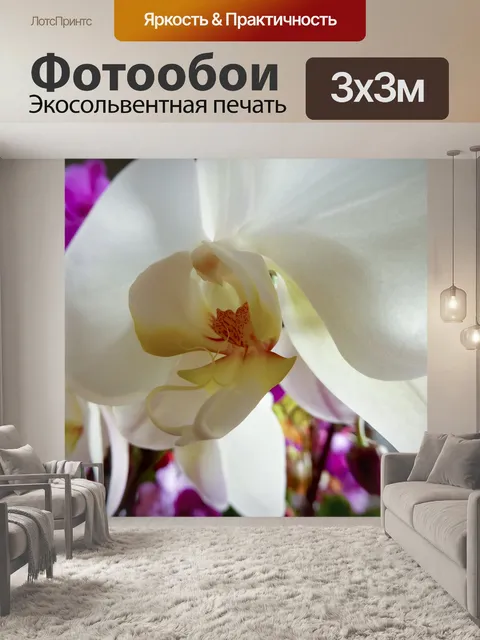 Фотообои Белый цветок орхидей