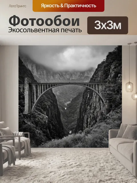 Фотообои черно-белый показывают величественный мост