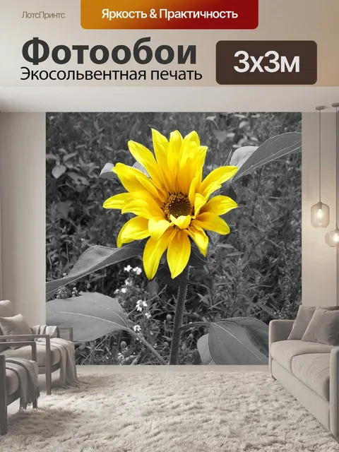 Фотообои Подсолнух