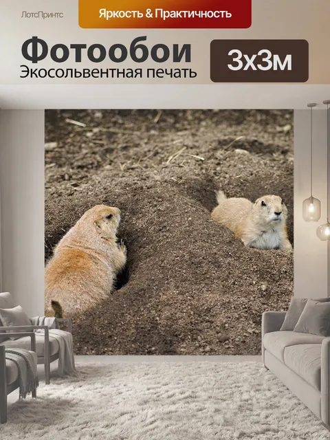 Фотообои Луговая собачка
