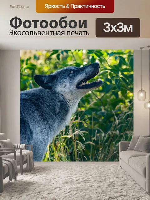 Фотообои Вой волка
