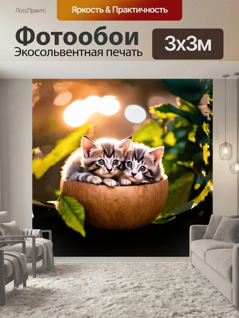Фотообои мягкие и пушистые котята, свернувшиеся в клубок, нежно посматривают своими большими, выразительными глазами