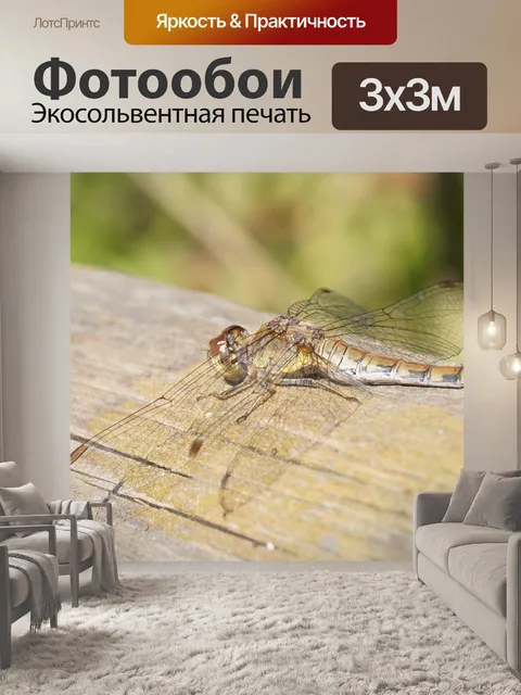 Фотообои Стрекоза