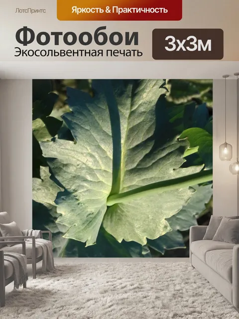 Фотообои стебель зеленого мака