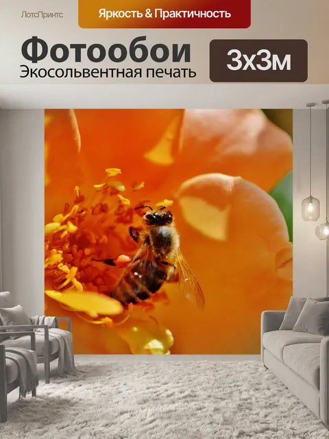 Фотообои Пчела