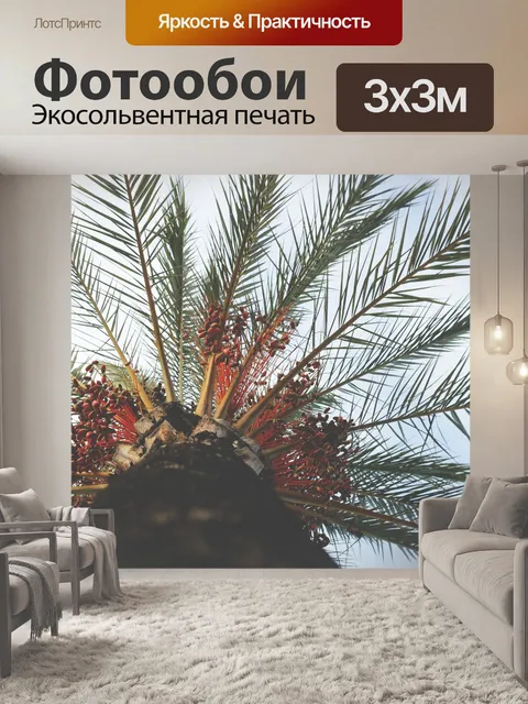 Фотообои Пальма