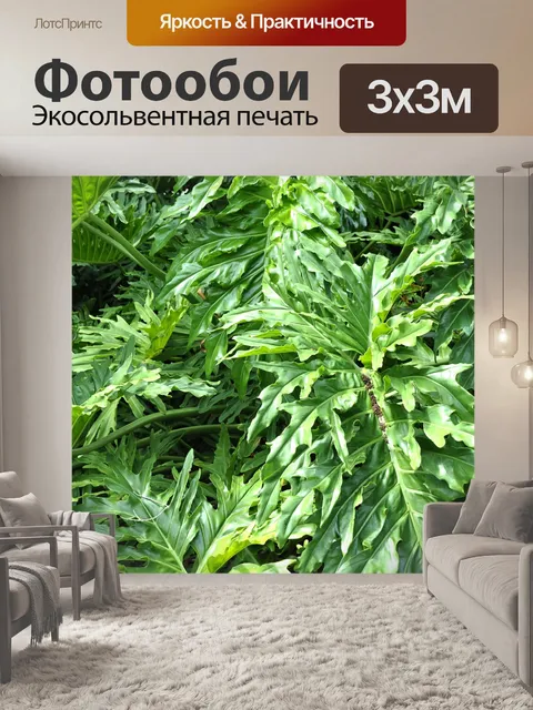 Фотообои Тропический