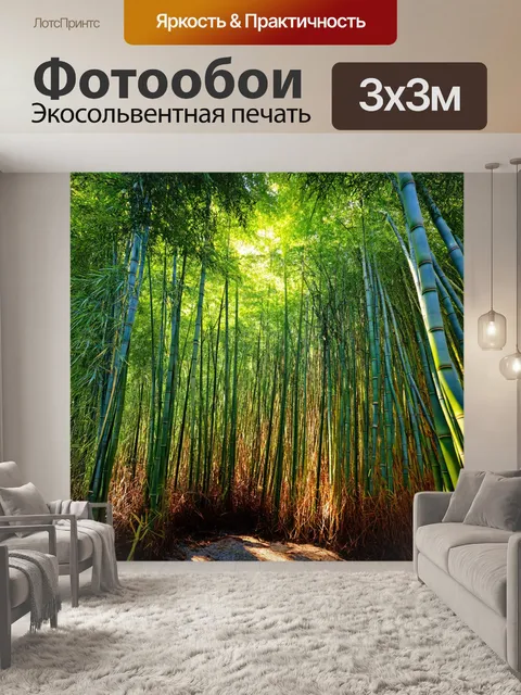 Фотообои густой бамбуковый лес с солнечными лучами, пробивающимися сквозь стебли