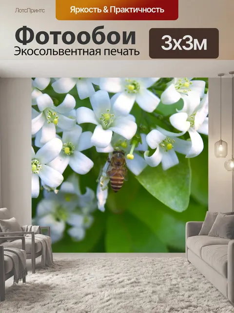 Фотообои Белые маленькие цветы 5
