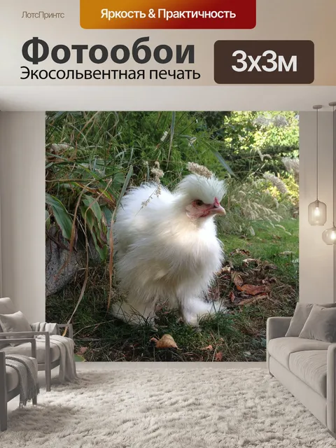 Фотообои Seidenhuhn