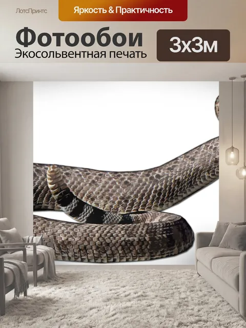 Фотообои Гремучая змея в позе удара
