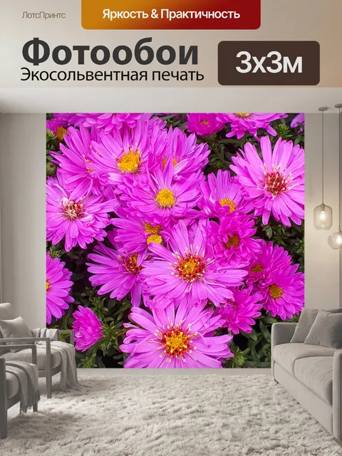 Фотообои Розовая хризантема