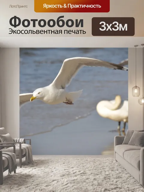 Фотообои Птицы