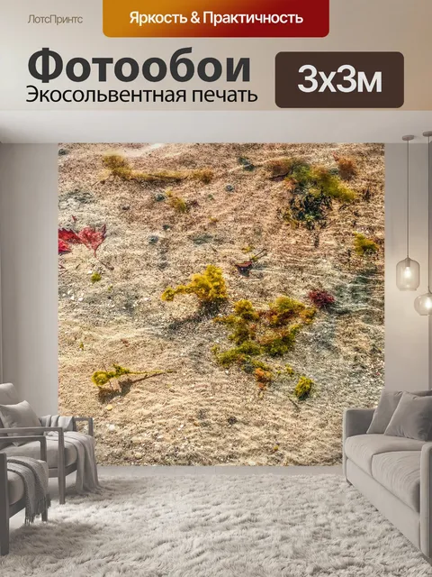 Фотообои Морское дно