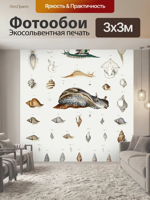 Фотообои Винтажная картина ракушки улитки