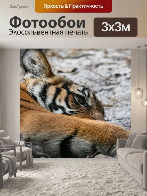 Фотообои Малайский тигренок