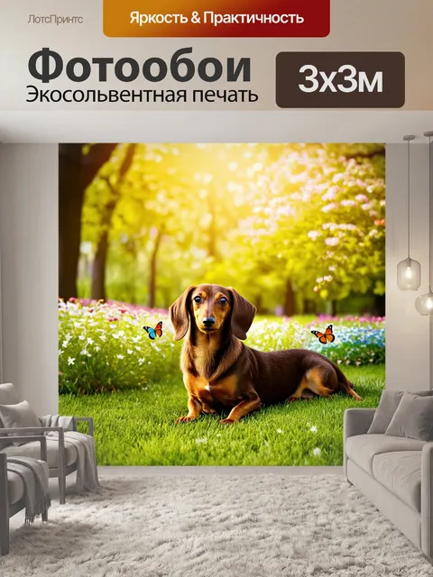 Фотообои в тихом, утреннем парке, такса с длинным и ухоженным шерстью, лежит на мягкой траве под светом первых лучей…