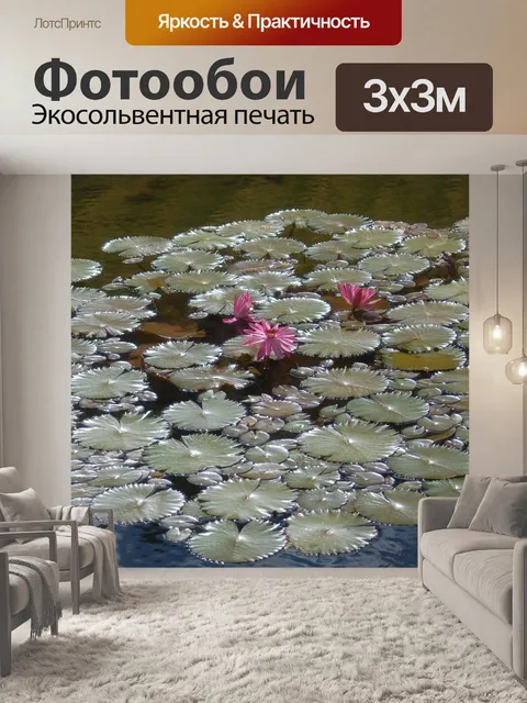 Фотообои Розовая водяная лилия