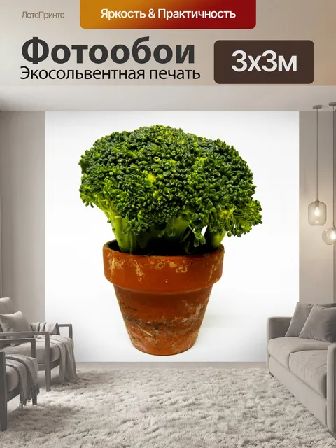 Фотообои Брокколи