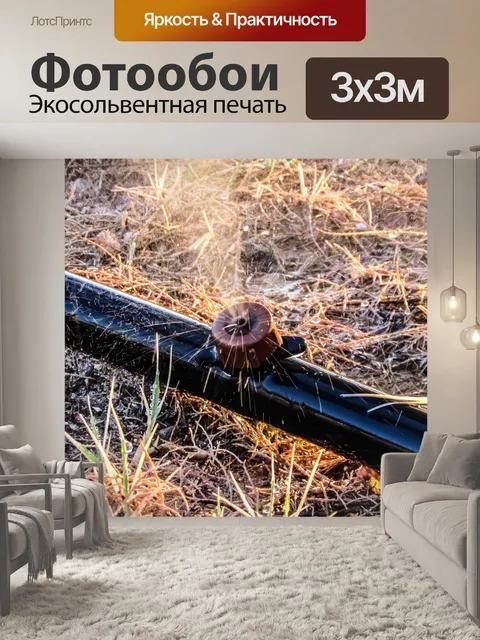 Фотообои Водяной насос
