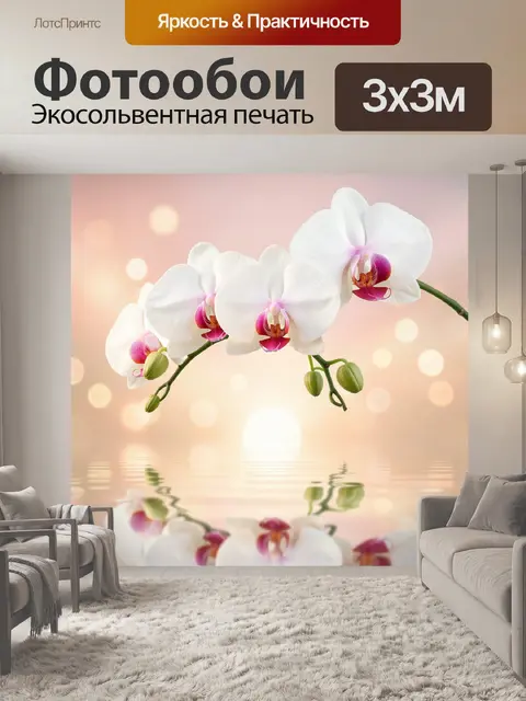 Фотообои Белые орхидеи на нежном фоне