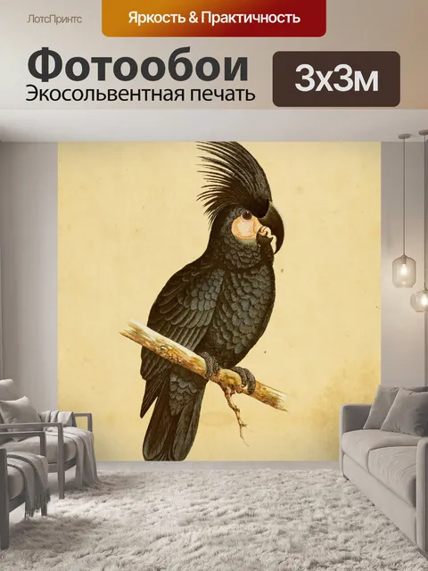 Фотообои Черный какаду винтажное искусство