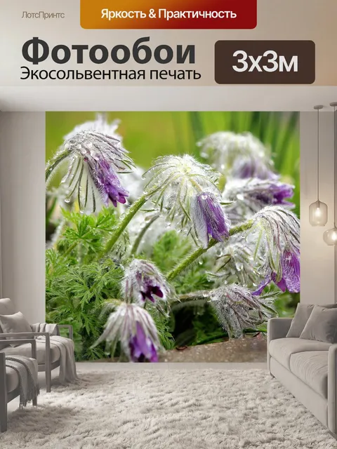Фотообои Дождевой цветок