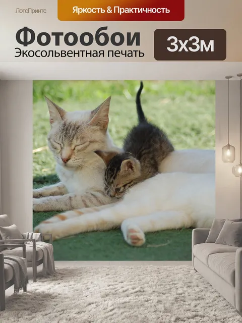 Фотообои Кошки