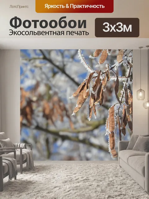 Фотообои Trnovník акации