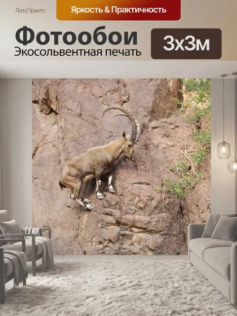 Фотообои Козел