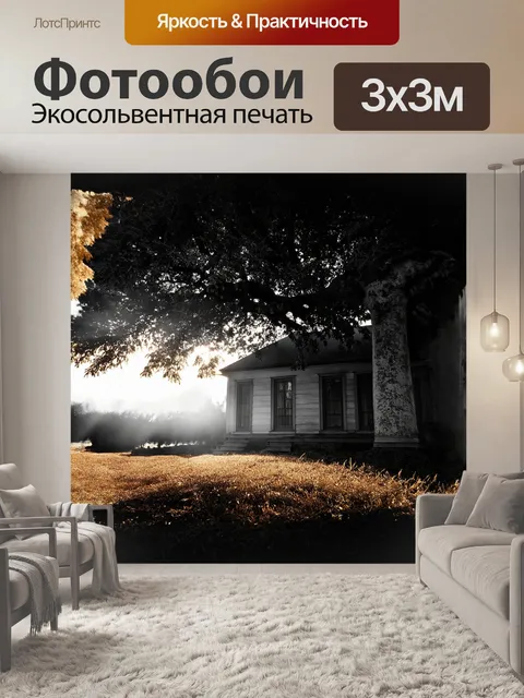 Фотообои утреннее солнце пробивается сквозь густую листву дерева