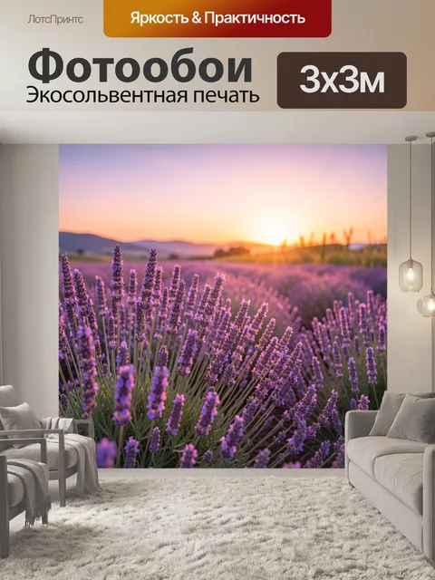 Фотообои Лавандовое поле на закате