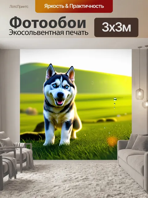 Фотообои в утреннем свете, когда росы сверкают на траве, хаски, с улыбкой на морде, лукаво указывает на далекий холм…