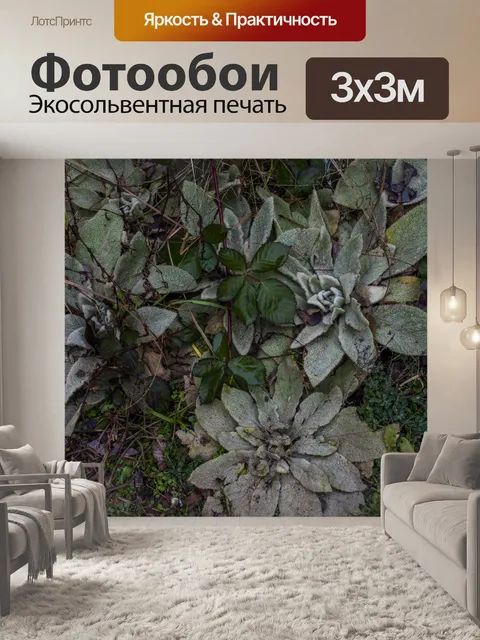 Фотообои Разбойная река Орегон