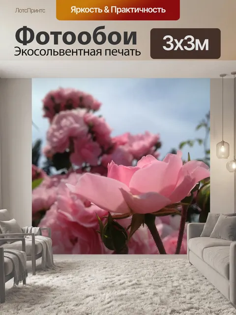Фотообои Роза