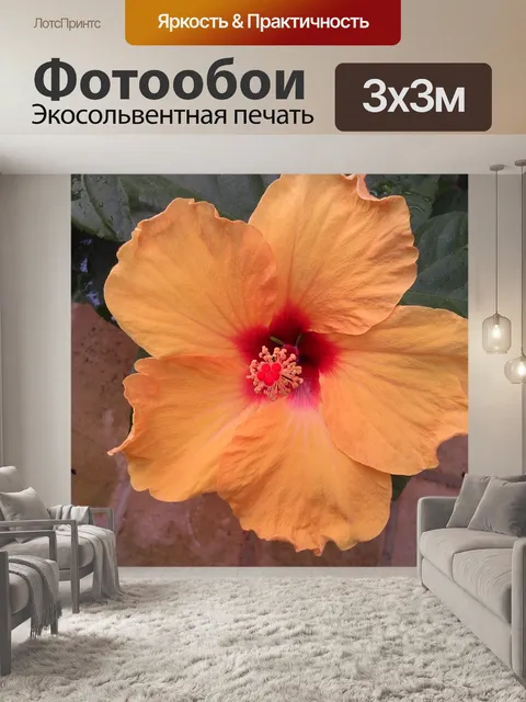 Фотообои Цветок