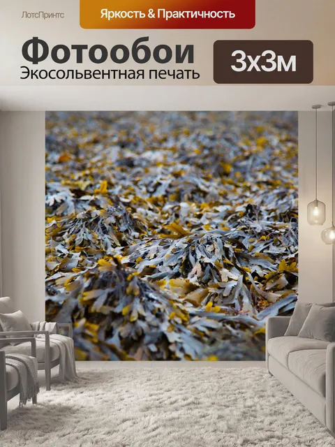 Фотообои Водоросли