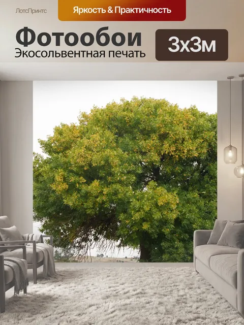 Фотообои Листья большого зеленого дерева поворачи