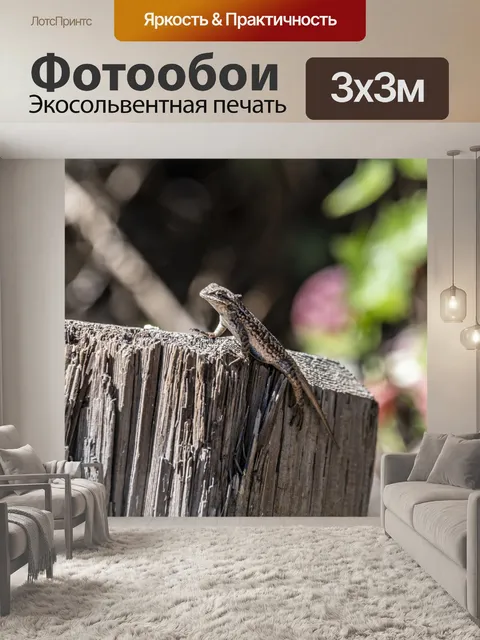 Фотообои ящерица