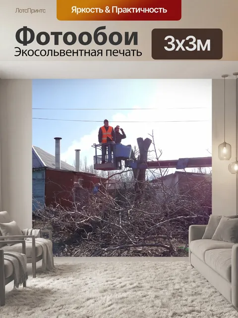 Фотообои Спил