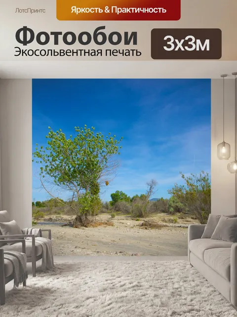 Фотообои Дерево растет в сухой Wash