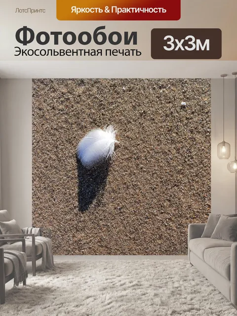 Фотообои перо на пляже