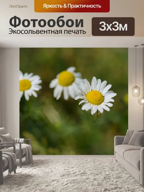 Фотообои Три ромашки