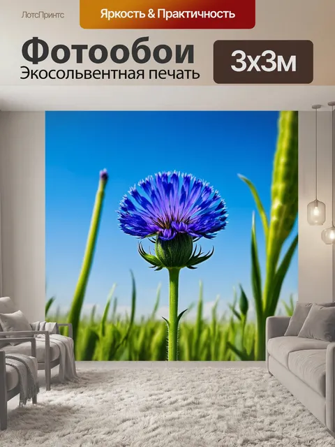 Фотообои бутон василька, растущий на полях, под ярким голубым небом, с легким ветерком
