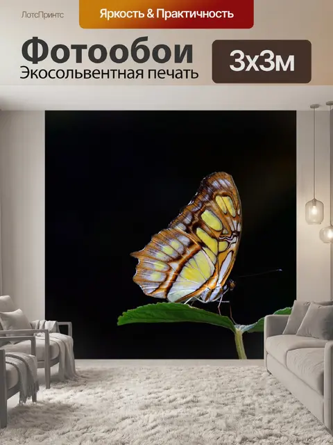 Фотообои Малахит
