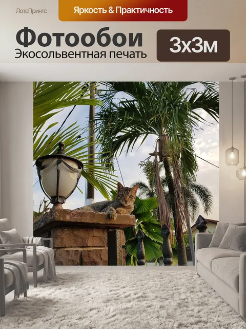 Фотообои Кошки