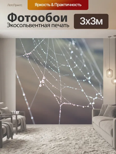 Фотообои Веб