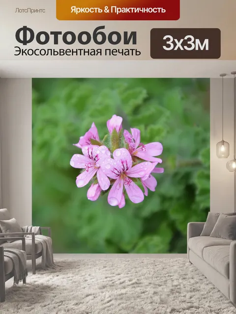 Фотообои Розовый цветок