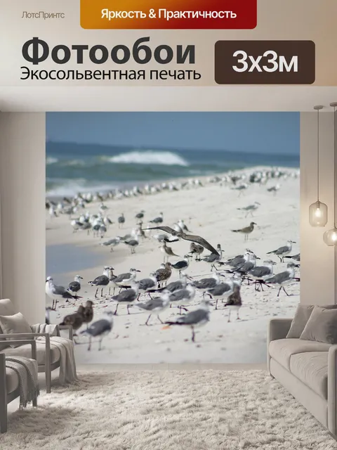 Фотообои Чайки