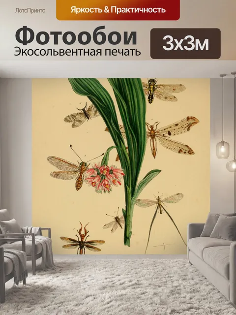 Фотообои Старинные Насекомые Иллюстрации Арт